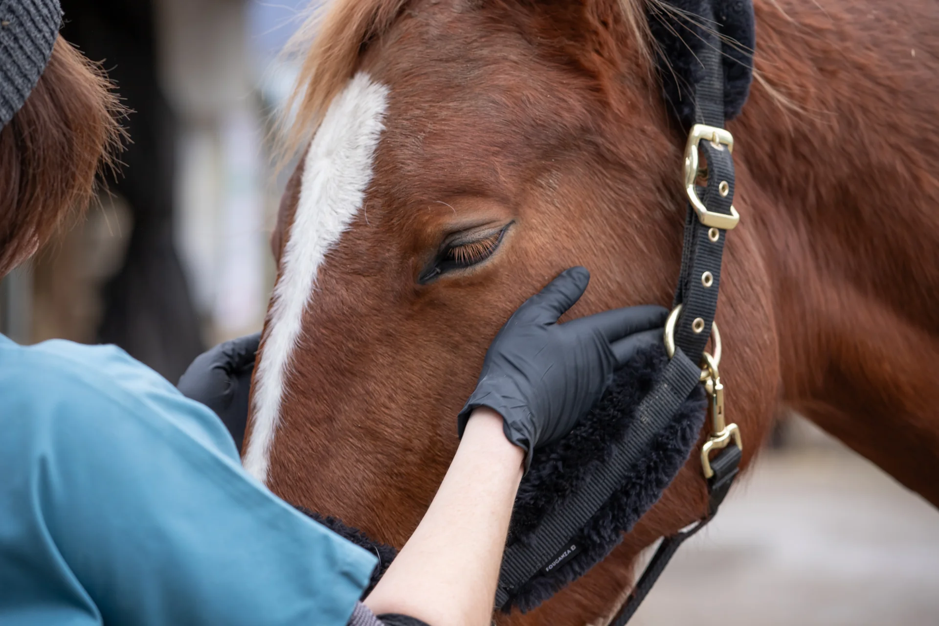 Conditions générales de prestation