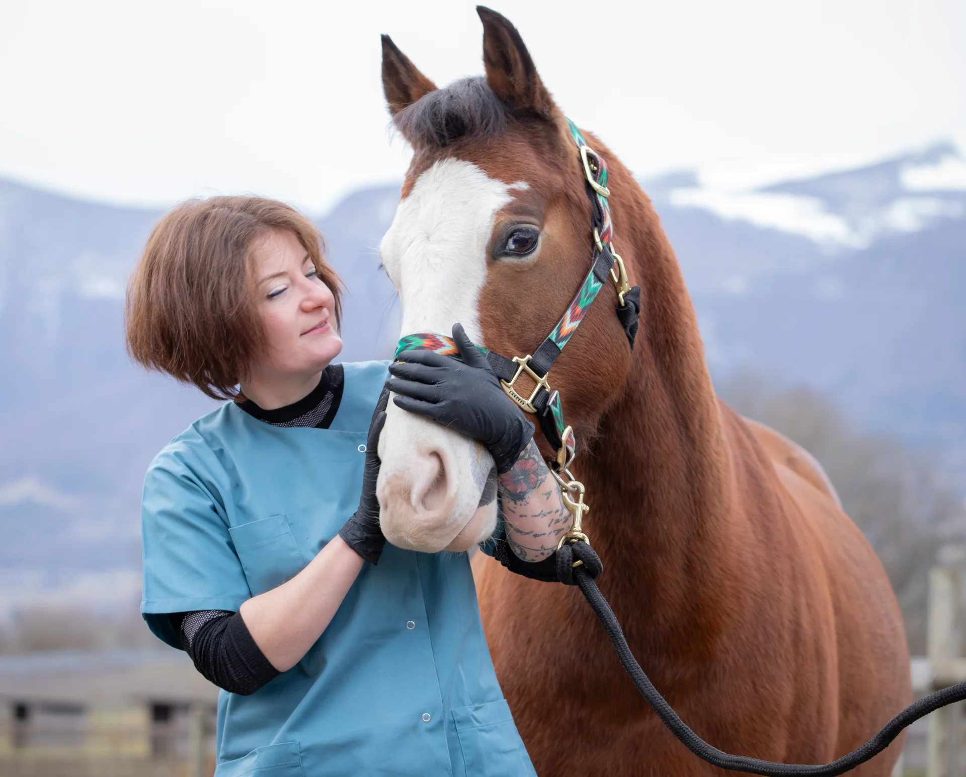 Cheval accompagne avec douceur
