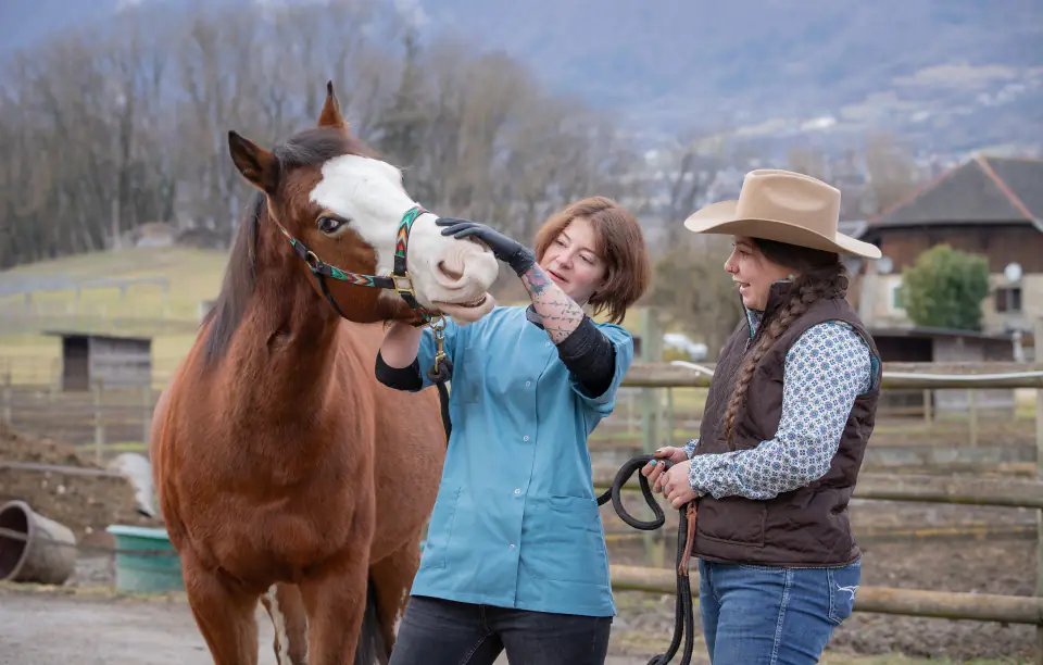 Contrôle dentaire d'un cheval en présence de sa propriétaire, en Savoie