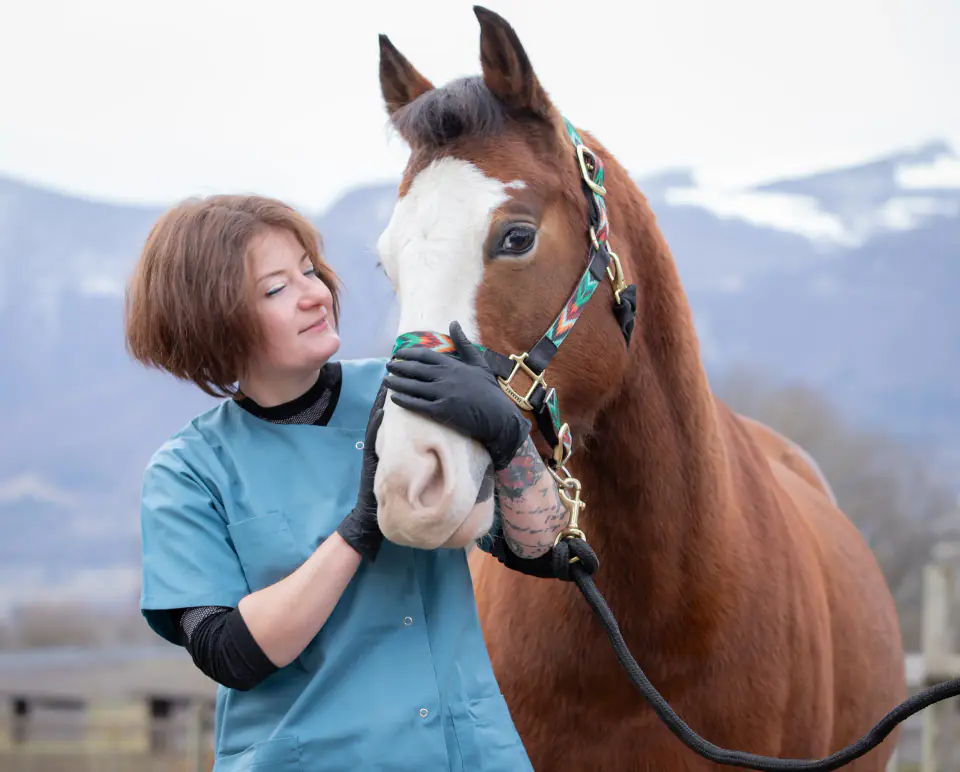 Laura Pallotto, technicienne dentaire équine, aux côtés d'un cheval devant les montagnes de Savoie