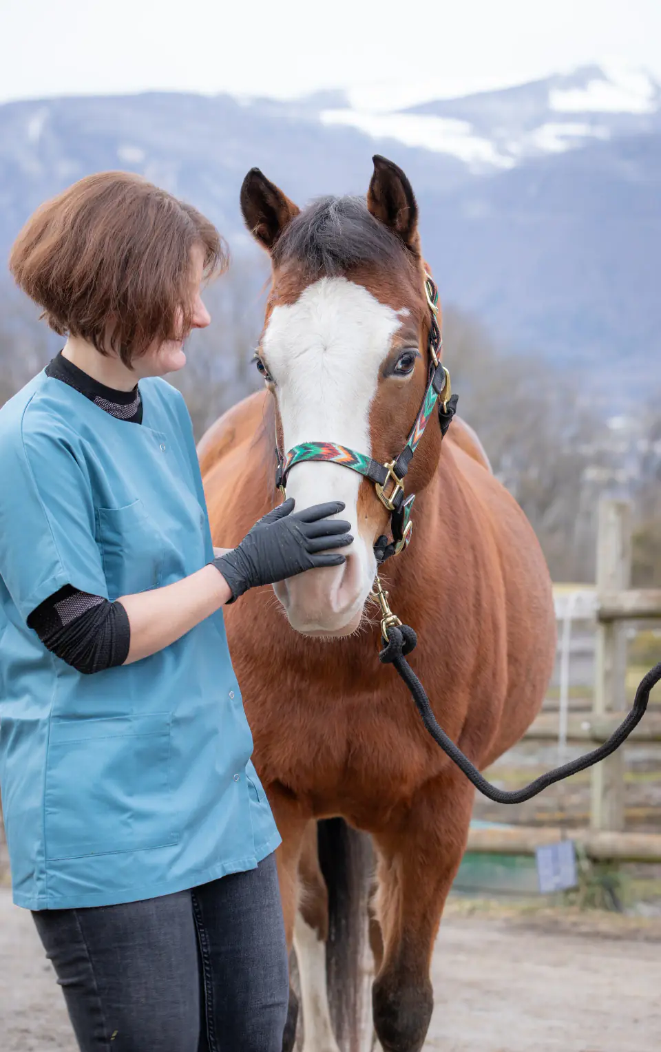 Laura Pallotto en tenue de soin auprès d'un cheval, massif alpin en arrière-plan